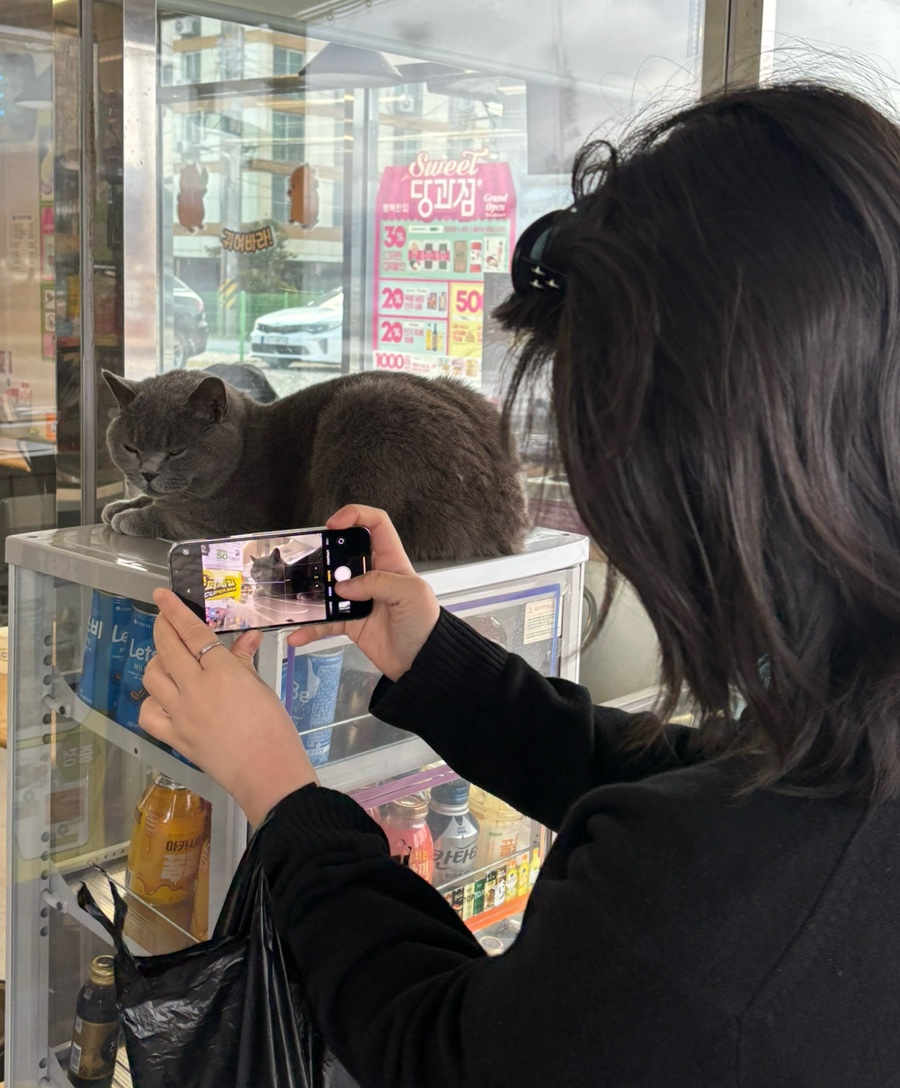 완도CAR# 이미지