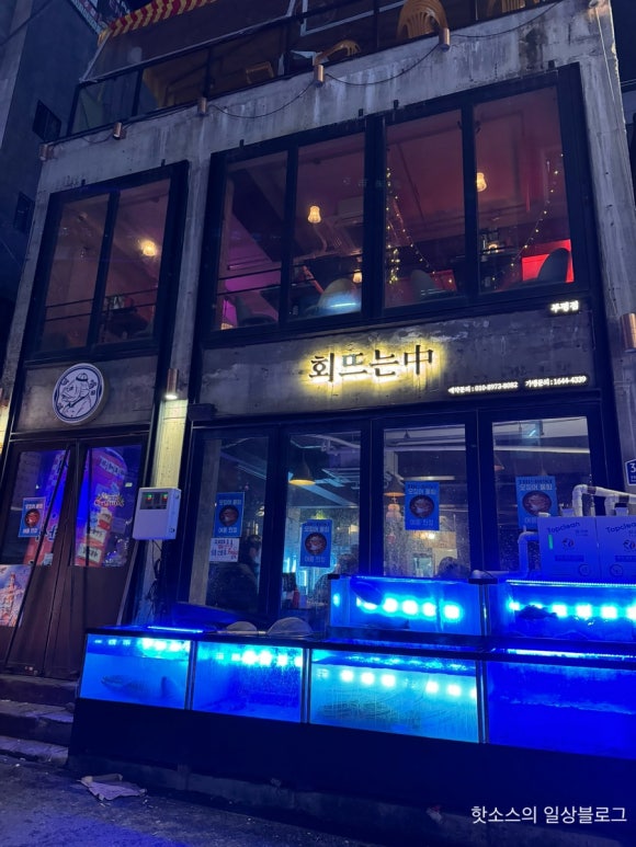 회뜨는중 이미지