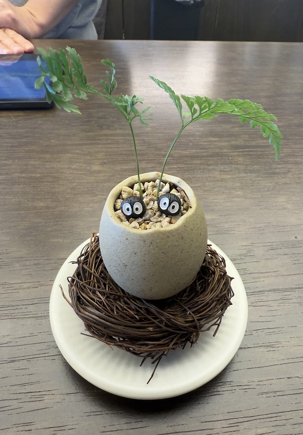 바이넛(BYNUT) 이미지