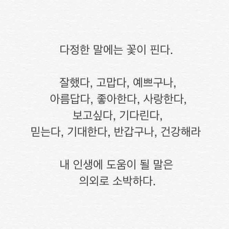 전설의육칼 이미지