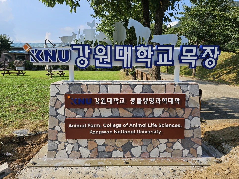 더창조적타일인테리어 이미지