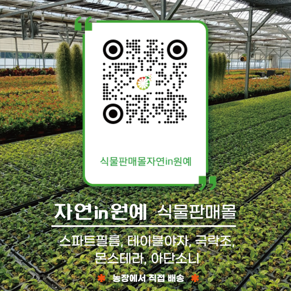 자연in원예센터 이미지