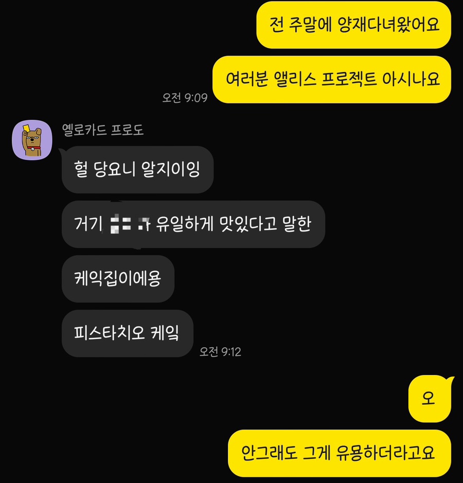 앨리스 프로젝트 이미지
