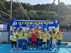피엘피 이미지