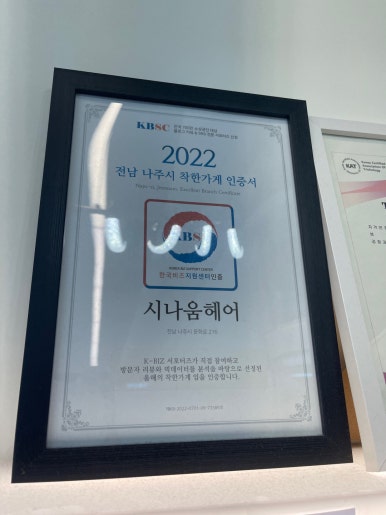시나움 이미지