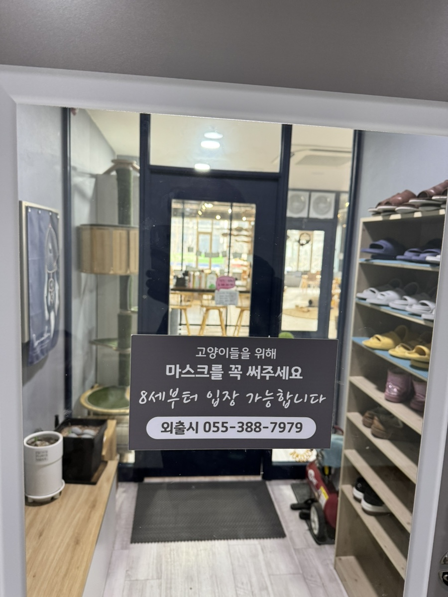 캣츠앤미 이미지