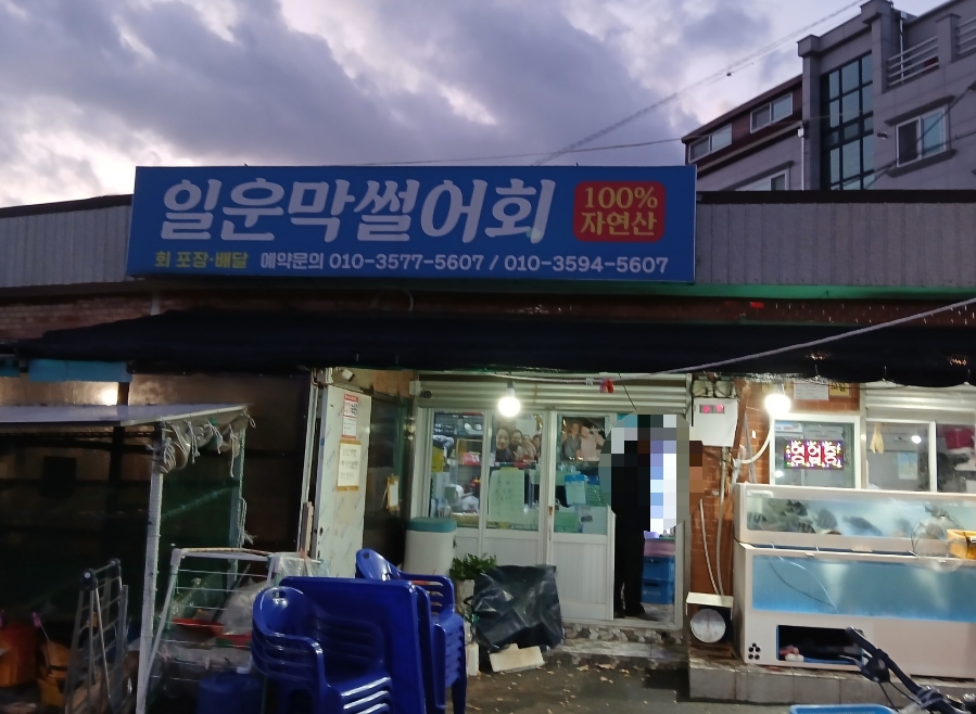 막썰어회 이미지