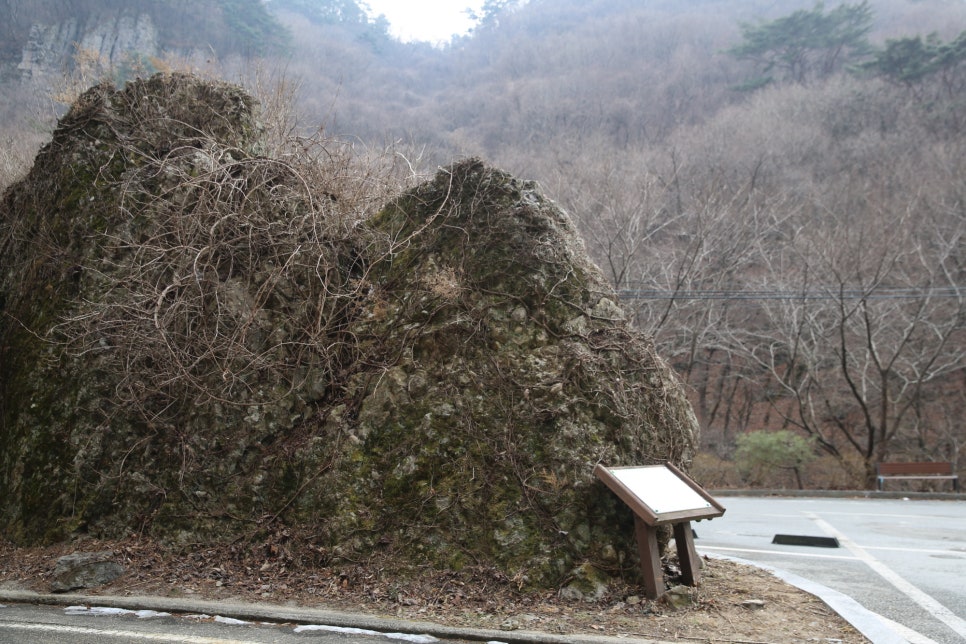 낙동급수 이미지