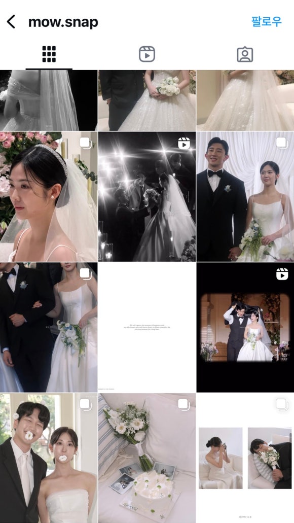 고스냅DVD 이미지