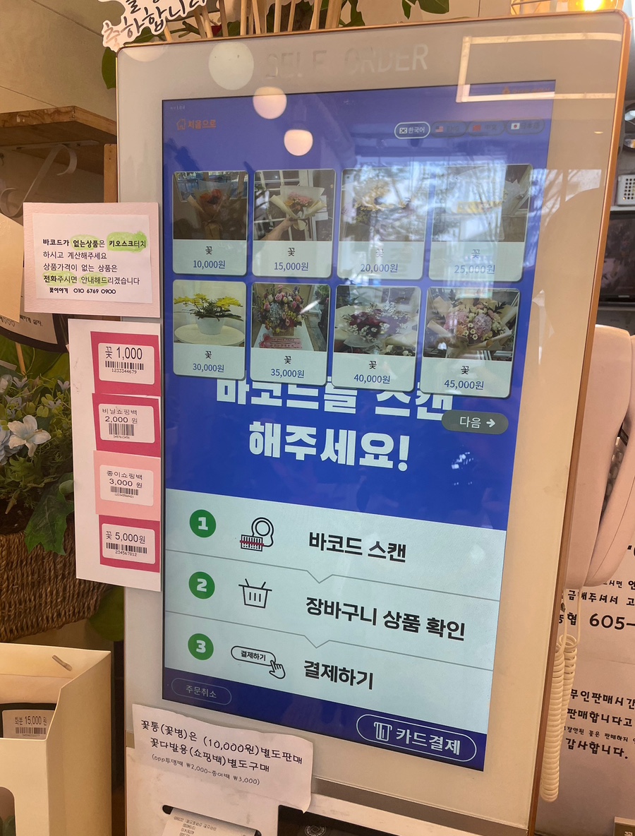 24시꽃 이미지