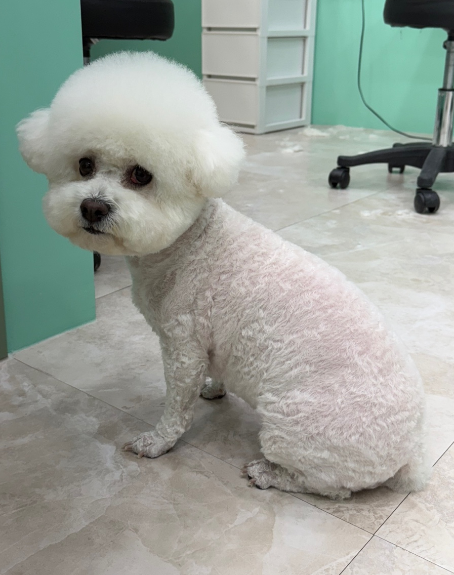이쁘니미용실 이미지