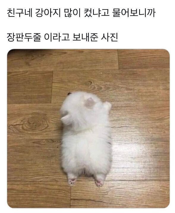 니나노 이미지