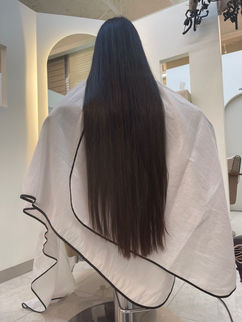 시나움 이미지