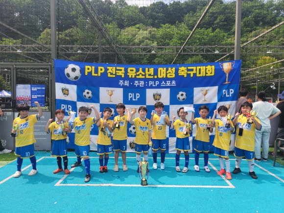 피엘피 이미지