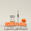 태반주사 효능과 부작용 총정리! 효과 높이는 태반주사 맞는 주기 : 네이버 블로그