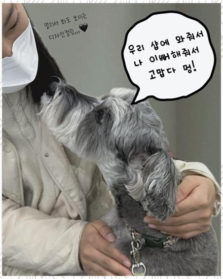 더나은 이미지