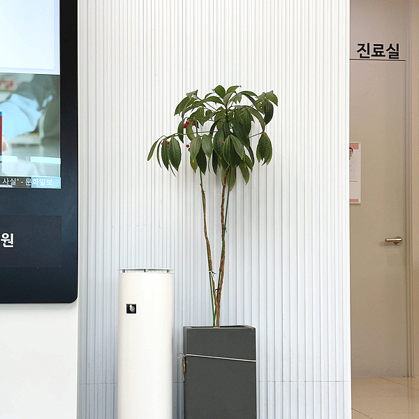 연세하나로의원 이미지