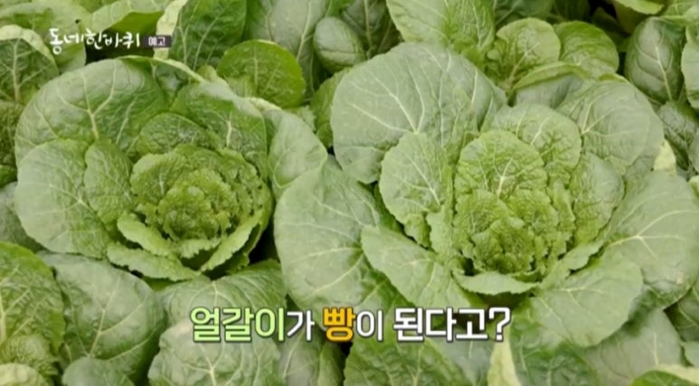 동네쌀빵 이미지