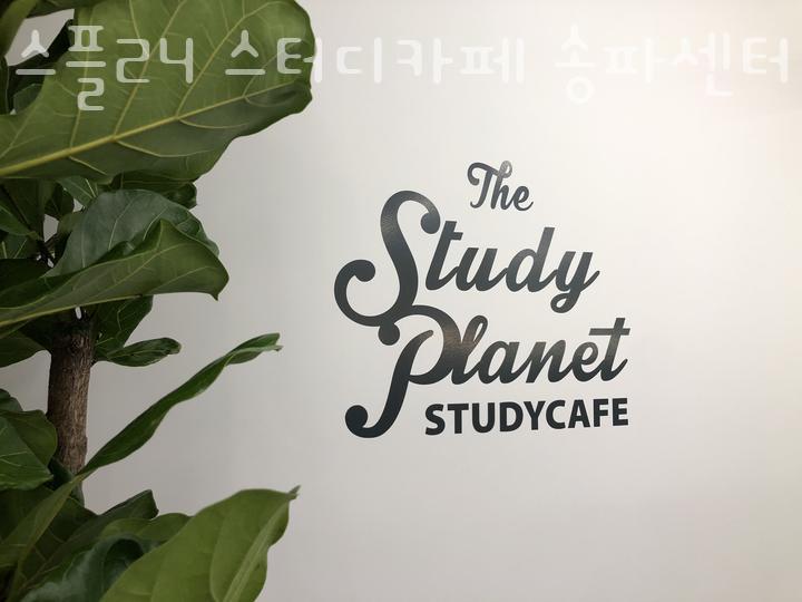 스플24스터디카페 이미지
