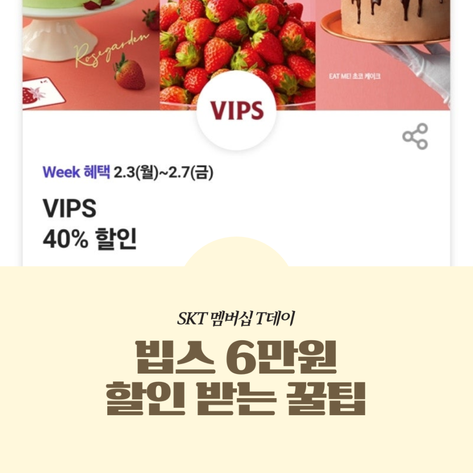 오르다T 이미지