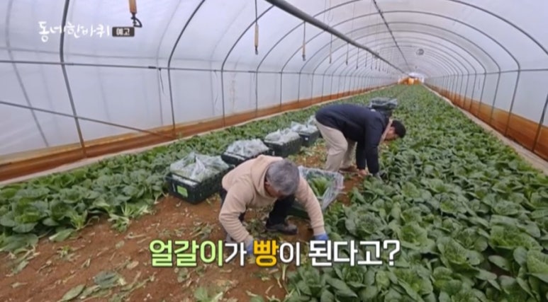 동네쌀빵 이미지