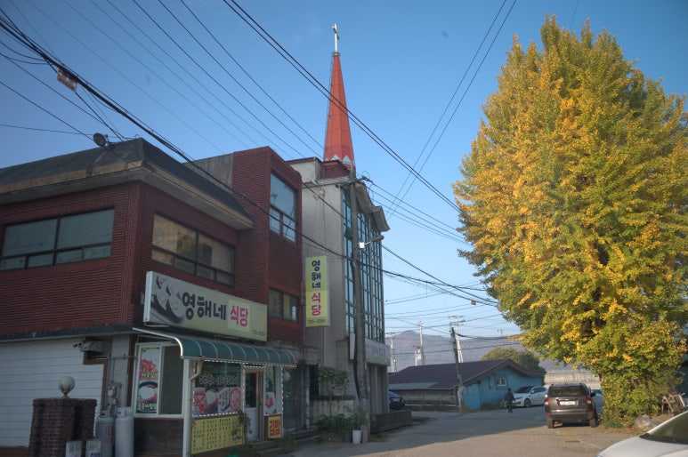 영해네식당 이미지
