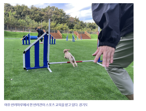 로집사인프라 이미지