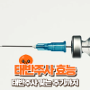 태반주사 효능과 부작용 총정리! 효과 높이는 태반주사 맞는 주기 : 네이버 블로그
