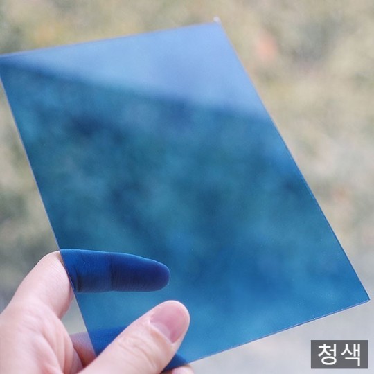 제주캐노픽스 이미지