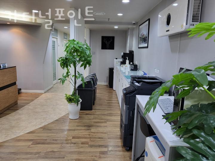 카디널포인트 이미지