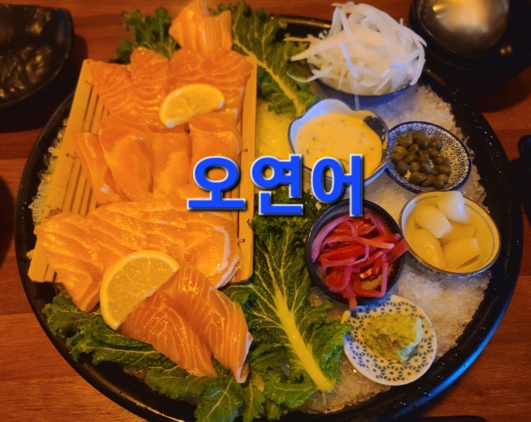 오연어 이미지