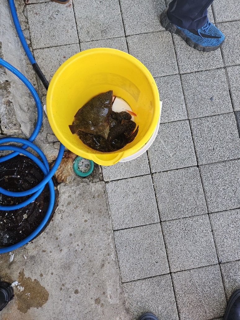 이천원만찬 이미지