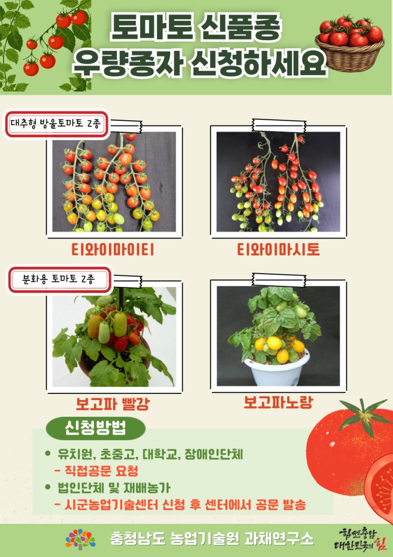 토마토연구소 이미지