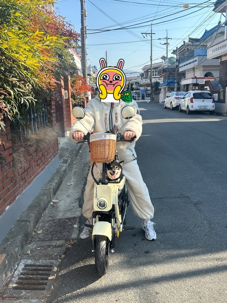 애니프로 이미지