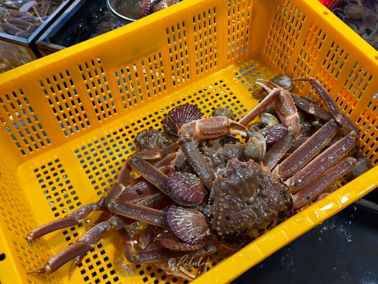 선돌수산 이미지