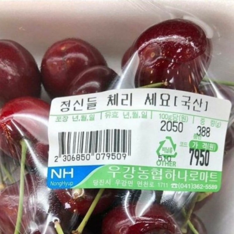 아우치 이미지
