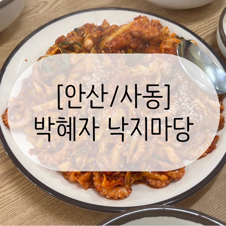 박혜자 낙지마당 이미지