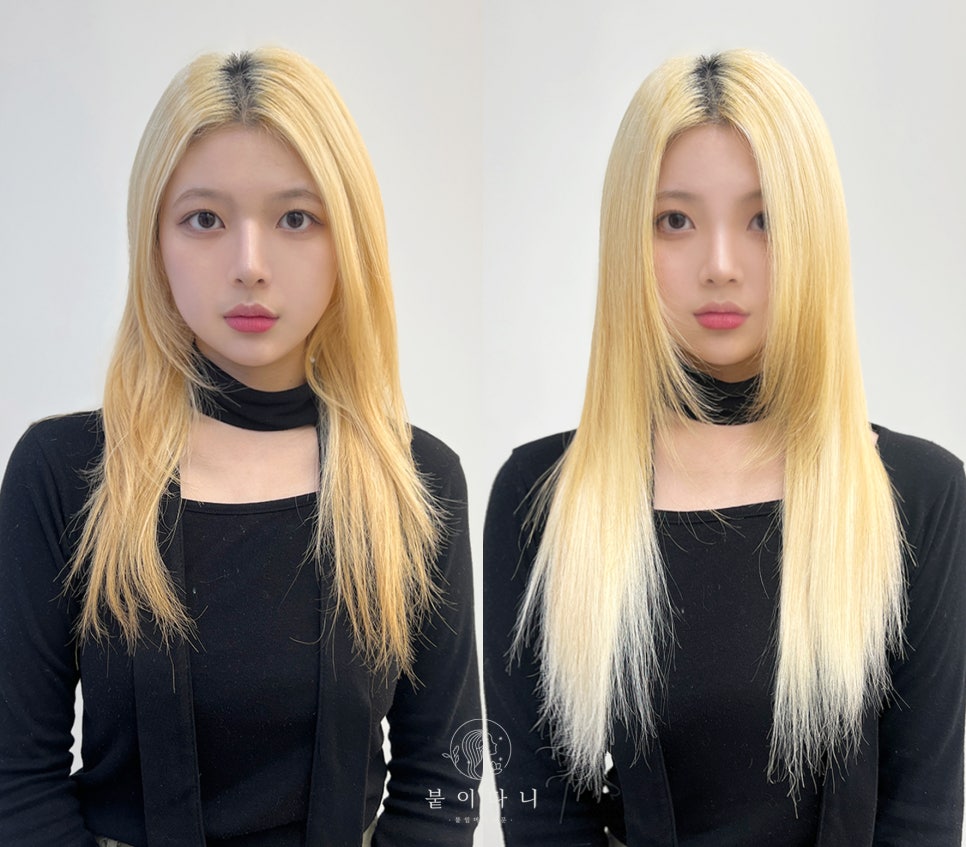 붙이다니 이미지