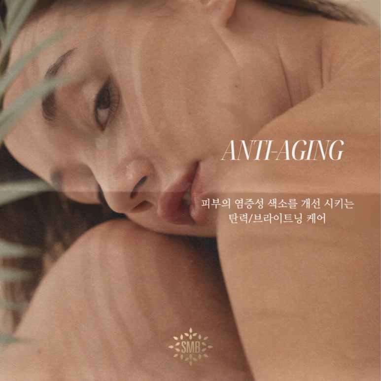 에스엠비 이미지