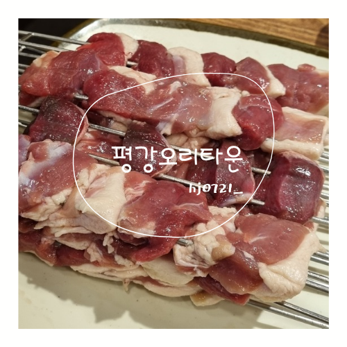 평강오리 이미지