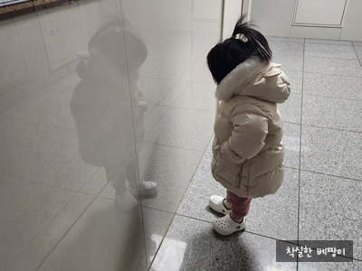 착실한베짱이 이미지