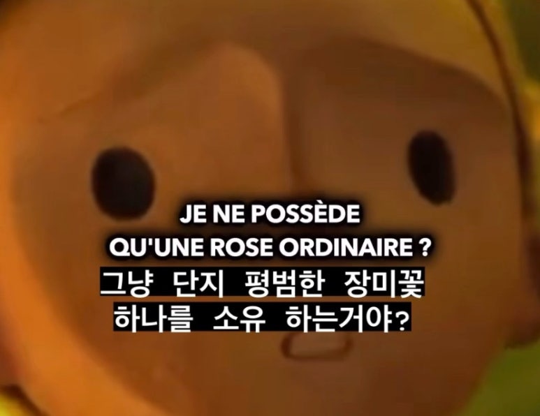 누군가의 꽃 이미지