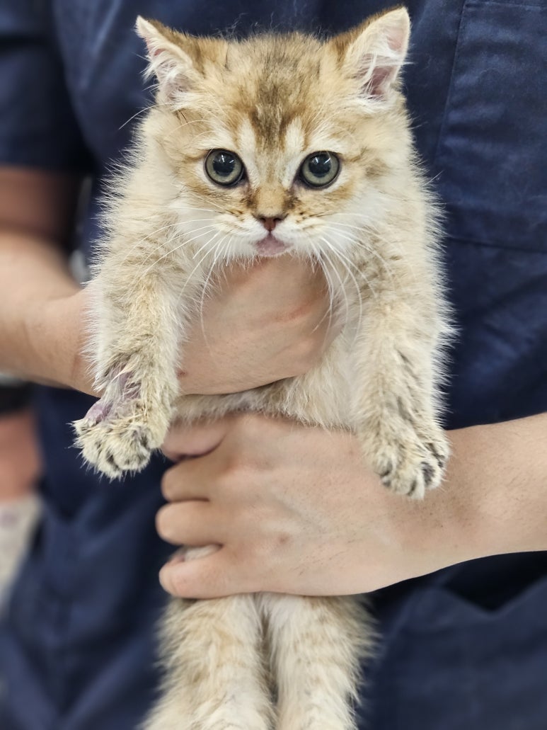 보담 이미지