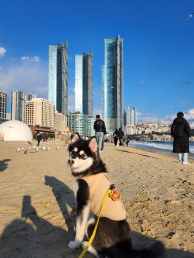 브라보의작업실 이미지