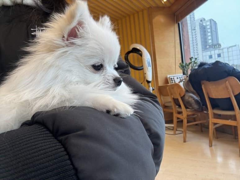 너깃네일 이미지