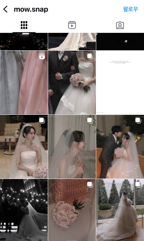 고스냅DVD 이미지