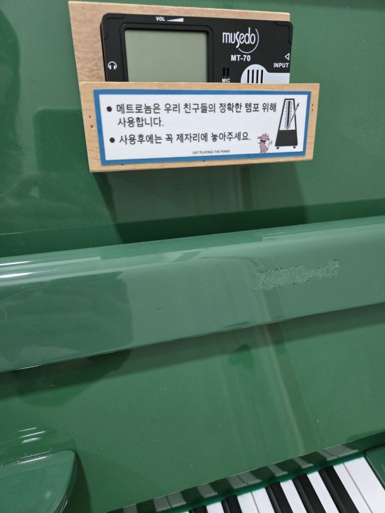 피아노치는고양이학원 이미지