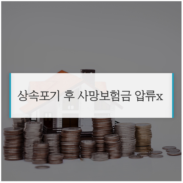 법무법인대담 이미지