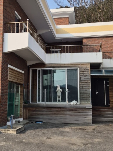 파로라 이미지