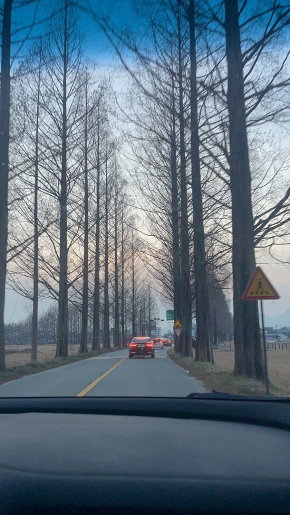 담주댓잎돌짜장 이미지